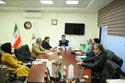  برگزاری جلسه کمیته فنی فدراسیون تکواندو با هدف تعیین تکلیف تیم‌های ملی