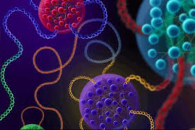  ماده شیمیایی که باعث وارونه شدن جنسیت ژن بیان می‌شود!