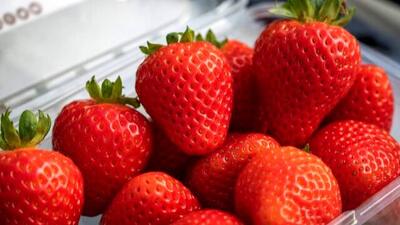  خوراکی  هایی که باعث زیبایی و شادابی پوست تان می  شوند