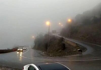  ترافیک سنگین در محور کندوان / بارش برف و باران در جاده‌های ۷ استان