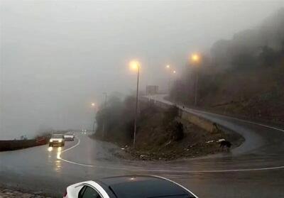  ترافیک سنگین در محور کندوان / بارش برف و باران در جاده‌های ۷ استان