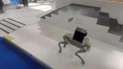  یک سگ رباتیک در نمایشگاه جهانی دفاع در عربستان سعودی پشتک وارو زد