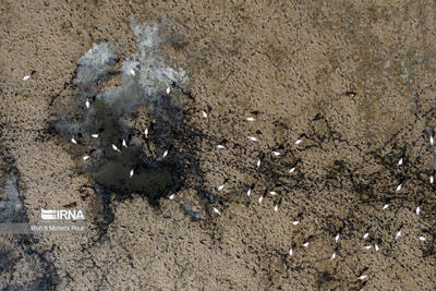  خلیج گرگان در خطر خشک‌شدن؛ ضرورت احیای یک مطالبه همیشگی