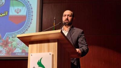  رویکرد شورای شهر قزوین حمایت جدی از ورزش بویژه فوتبال بوده است