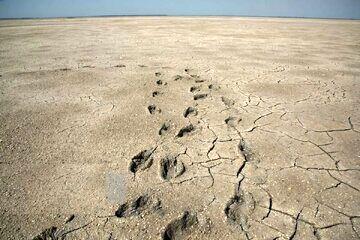  زنگ خطر خشکی خلیج گرگان به صدا درآمد