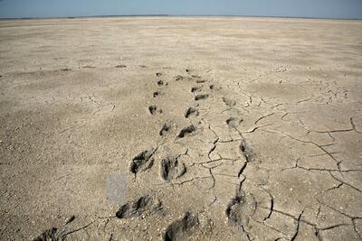  خلیج گرگان در خطر خشک‌شدن؛ ضرورت احیای یک مطالبه همیشگی