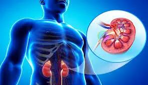  اینگونه از بیماریهای کلیوی جلوگیری کنید!