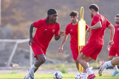  گمشده در پرسپولیس؛ تیوی بیفوما را پیدا کنید!