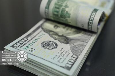  واکنش نمایندگان به سیاست ارزی دولت