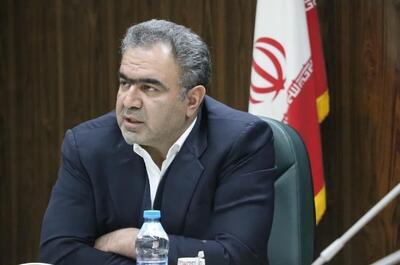  لزوم نگاه آینده محور به صنعت چوب و کاغذ