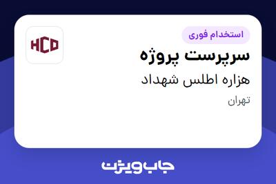  استخدام سرپرست پروژه - آقا در هزاره اطلس شهداد