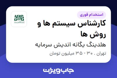  استخدام کارشناس سیستم ها و روش ها در هلدینگ یگانه اندیش سرمایه
