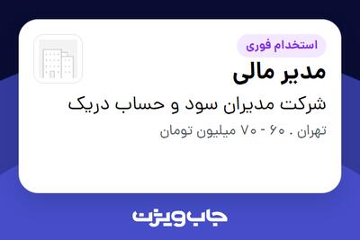  استخدام مدیر مالی در شرکت مدیران سود و حساب دریک