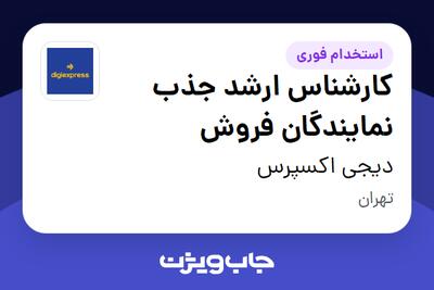  استخدام کارشناس ارشد جذب نمایندگان فروش در دیجی اکسپرس