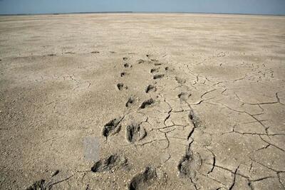  خلیج گرگان در خطر خشک‌ شدن