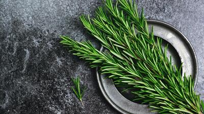  آیا رزماری برای مغز واقعاً مفید است؟