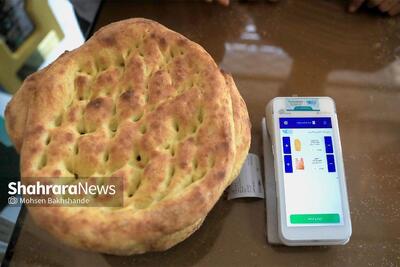  پروژه یارانه نان به همتی واگذار شد