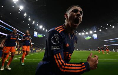  تاتنهام 1-2 نیوکاسل؛ ویرانه‌های شمال لندن زیر سایه‌ی زاغ‌های وحشی