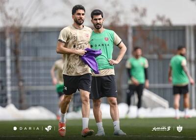  شکاری یک مهاجم پرسپولیس را کم می‌کند!