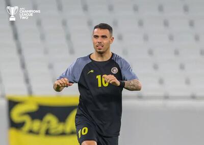  گل آلوز شبیه یک اثر هنری بود!