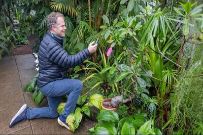  گفتگو با گیاهان ممکن شد