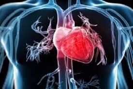  شادی و تغذیه سالم، کلید تقویت قلب از نگاه طب ایرانی