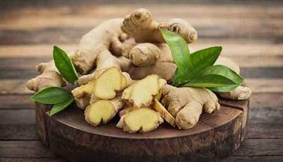  زنجبیل برای رفع حالت تهوع بهتر است یا نعناع؟