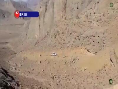  پایان خوش برای ۱۸ پرنده شکاری با بازگشت به زیستگاه خود