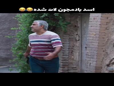  اسد بادمجون لات شده