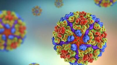  آخرین وضعیت بیماری  نیپا / این بیماری ویروسی فعلا هیچ دارو یا واکسنی ندارد