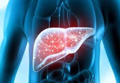  عصاره‌های طبیعی و سلامت کبد؛ کدام مواد بیشترین تاثیر را دارند؟ / درمان کبد چرب با عصاره‌های گیاهی؛ تقویت عملکرد کبد و پیشگیری از بیماری‌ها
