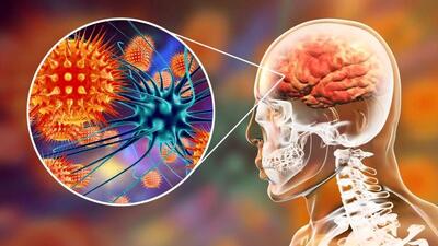  آخرین وضعیت بیماری نیپا اعلام شد