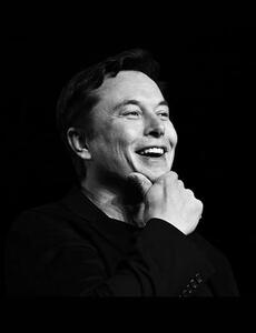  پروژه مالی جدید ماسک؛ قدم بزرگ ایکس به دنیای پرداخت