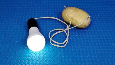  نحوه تولید برق رایگان از سیب زمینی (روشن کردن لامپ LED)