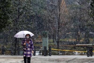  هواشناسی: تهران ابری و بارانی؛ وزش باد ادامه دارد