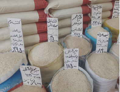  قیمت جدید برنج امروز پنجشنبه ۲۳ بهمن/ برنج ایرانی، هندی و پاکستانی کیلویی چند؟