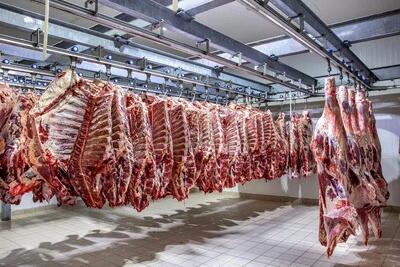  قیمت‌ها عقب نشستند/ رقابت در بازار گوشت شروع شد