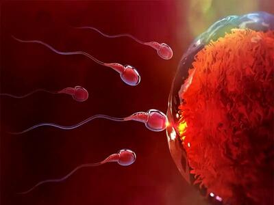  چه کسانی بیشتر در معرض خون در مایع منی هستند؟