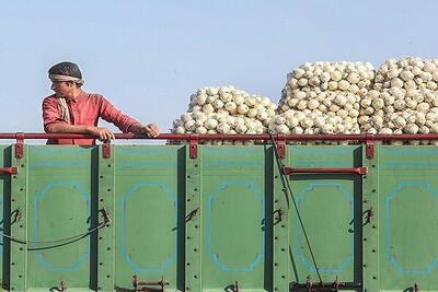  اعلام نرخ رسمی خرید تضمینی سیب‌زمینی و پیاز