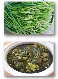  خورش تره کوهی؛ غذای محلی و بهاری مردم ایلام