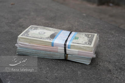  امروز در مرکز مبادله؛ قیمت دلار ۱۲۰ و یورو ۶۰۰ تومان ریزش کردند