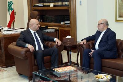  دیدار سفیر ایران با رییس جمهور لبنان در پایان ماموریتش + عکس
