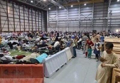  بازگشت در ازای کمک نقدی؛ پیشنهاد آمریکا به پناهجویان افغان