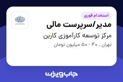  استخدام مدیر/سرپرست مالی - آقا در مرکز توسعه کارآموزی کاربن