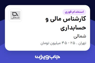  استخدام کارشناس مالی و حسابداری در شمالی