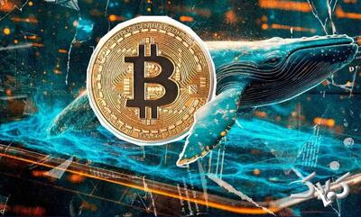  چرا بازار رمزارز برای سرمایه‌گذاران ایرانی پرریسک‌تر است؟ | سقوط ۵۰ درصدی بیت‌کوین در ۴ ماه - مجله اینترنتی کولاک