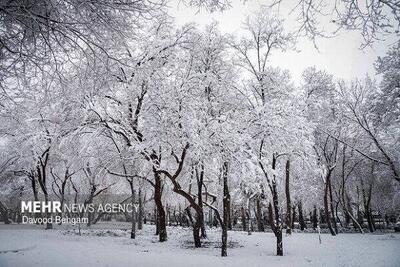  هشدار ورود سامانه بارشی جدید برف و باران شدید در  ۲۰ استان از فردا