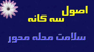  میگنا - اصول سه گانه سلامت محله محور