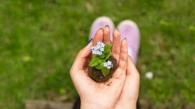  میگنا - بهبود کیفیت زندگی بمنزله نوعی روان‌درمانی