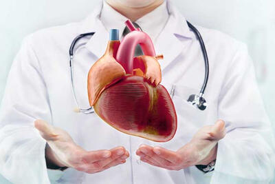  2 روش ساده و مهم برای بالا بردن سلامت قلب